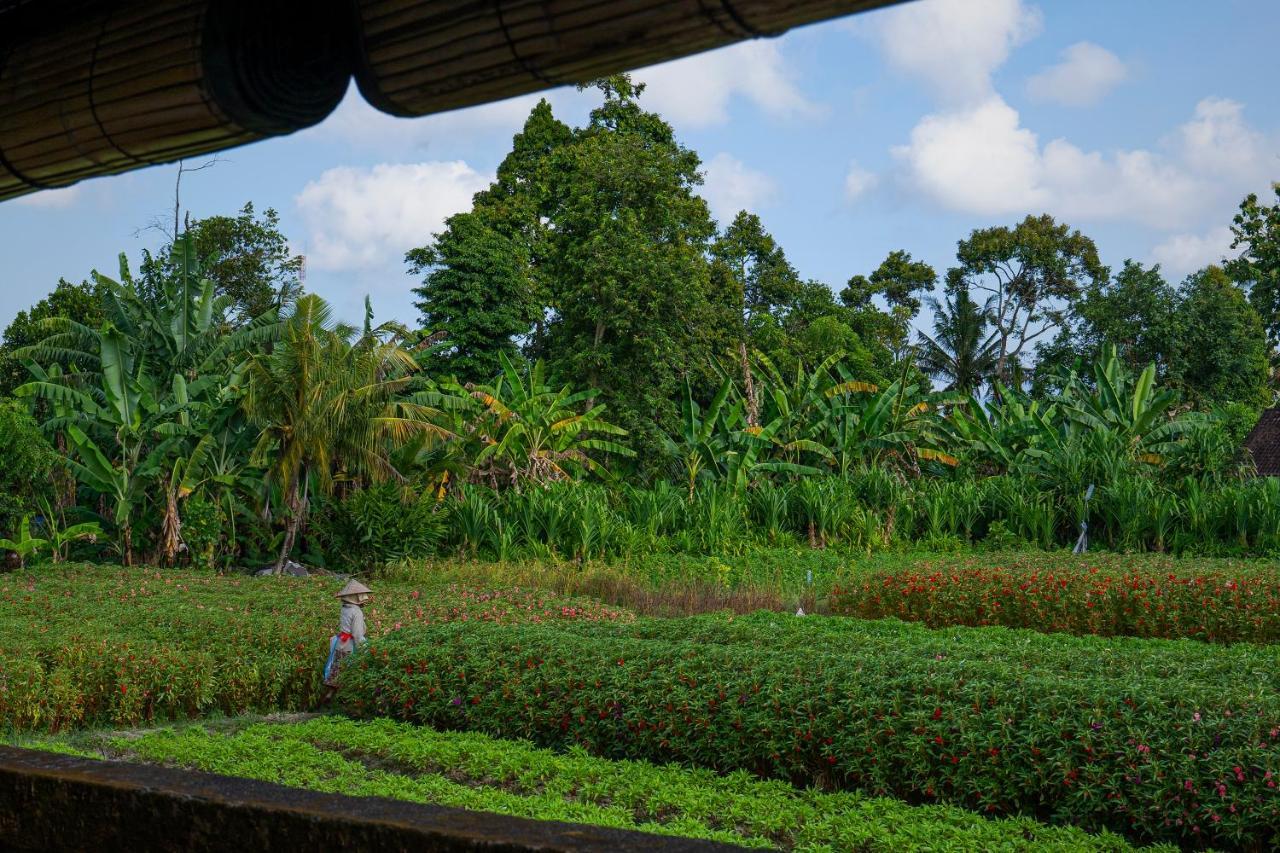 Oemah Joglo Bali Villa Ubud Exterior foto